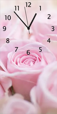 Produktbild von Wallario Design Wanduhr bedruckt, Größe 30 x 60 cm, Motiv: Rosafarbene Rosenblüten im Strauß
