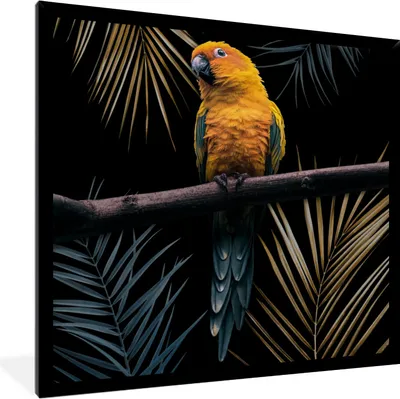 Produktbild von MuchoWow® MuchoWow® Gerahmtes Poster Vogel - Papagei - Zweig - Blätter 40x40 cm - Poster mit zchwarzem Bilderrahmen - Mit Rahmen - Wanddekoration Schlafzimmer