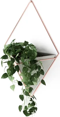 Produktbild von Famanu Wandvase und geometrische Dekoration - Beton/Kupfer, groß