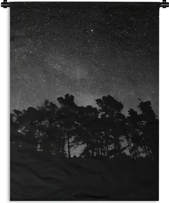 Produktbild von MuchoWow® Wandteppich Wandbehang Sternenhimmel - Wald - Himmel - Schwarz - Bäume 90x120 cm Tapisserie Dekoration Wandtuch - Wanddeko