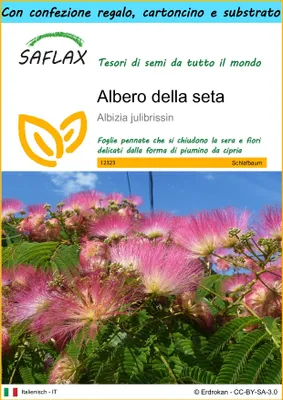 Immagine prodotto di SAFLAX Set regalo - Albero della seta - 50 semi - Albizia