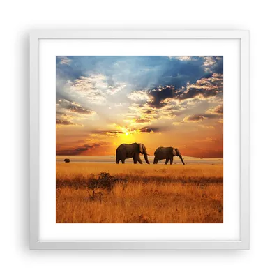 Produktbild von Gerahmtes Poster - Weißer Rahmen - Elefanten Safari Dschungel Busch - 40x40 cm - Wand Bild - Wanddeko - Wandbilder - Wandposter - Bilderrahmen - Bilder - Kunstdruck - Wandbild - P2WAC40x40-3150