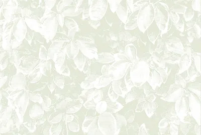 Produktbild von Tadessi Fototapete | Natur | 4.00 m x 2.70 m | Grün | Weiß | Wandbild | Digitaldruck
