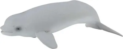Produktbild von Collecta Beluga Zuchtfigur Grau 3-6 Years Grau 3-6 Years