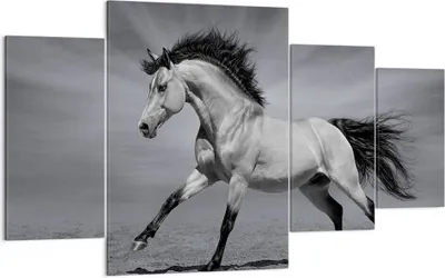 Produktbild von Bild auf Leinwand - Leinwandbild - Pferd Tier Natur - 160x90cm - Wand Bild - Wanddeko - Wandbilder - Leinwanddruck - Bilder - Kunstdruck - Wanddekoration - Leinwand bilder - Wandkunst - DL160x90-3608