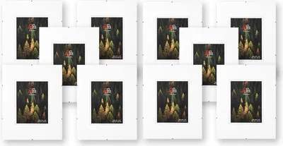 Obrázok produktu pre aFFa rámy Bezrámový držiak na fotografie | Obrazový rám | Akrylové sklo | s klipmi | na fotografie a plagáty | Rám na plagát | Rám na klip | Rám na plagát | Plexisklo, HDF, 15x21 cm | 1 balenie po 10 ks