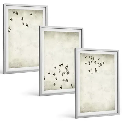Produktbild von Bilder Set 3-teilig im silbergerahmten Rahmen – Wandbilder 3 Stück – gerahmte Poster für Wohnzimmer, Schlafzimmer und Flur – 40x60 cm – Minimalistische Vogelmalerei