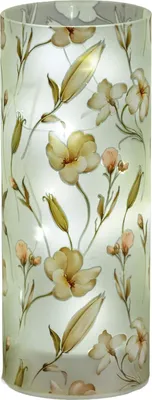Produktbild von formano LED Deko Licht Blütentraum Zylinder Glas 20 cm Blumen Motiv Timer 6h/18h