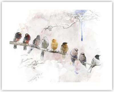 Produktbild von Poster - Poster ohne Rahmen - Vögel Kanarienvogel Zweig - 50x40 cm - Wand Bild - Wanddeko - Wandbilder - Kunstposter - Wandposter - Bilder - Kunstdruck - Wanddekoration - Wandbild - P2XAA50x40-4175