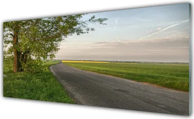 Produktbild von Glasbilder 125x50 Wandbild Druck auf Glas Straße Baum Gras Landschaft