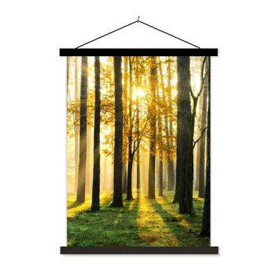Produktbild von MuchoWow® Textilposter Wald - Sonne - Bäume - Gras - Landschaft - Natur 90x120 cm mit schwarzem Rahmen - Dekoration