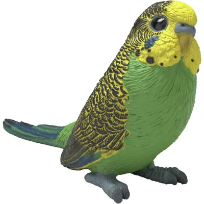 Image de Wellensittich