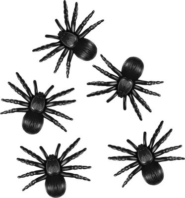 Produktbild von RAPPA Dekoration Spinne schwarz 5 Stück
