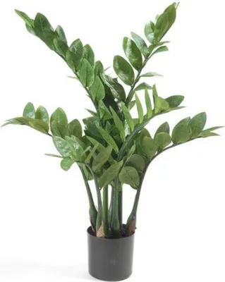 Produktbild von Emerald Kunstpflanze Zamioculcas Glücksfeder 70 cm