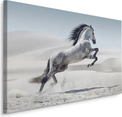 Produktbild von Fabelhafte Canvas LEINWAND BILDER 100x70 cm XXL Kunstdruck Tiere Pferd Natur Wüste