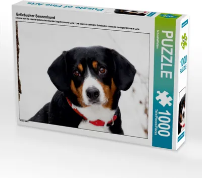 Produktbild von Calvendo Entlebucher Sennenhund 1000 Teile Puzzle quer 640x480mm, CALVENDO; 7425988