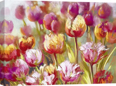 Obrázok produktu pre Obraz na plátne Tulipány - Nel Whatmore, My oh My (detail) - 120x90 cm