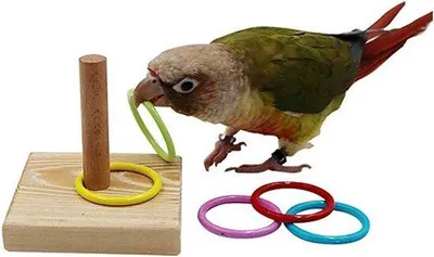 Produktbild von Interaktief Vogelspielzeug für die Intelligenztraining von Vögeln - Geeignet für Papageien, Parkkästen und Falkenparkkästen