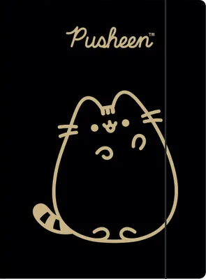 Produktbild von A4 Zeichenmappe mit Gummiband PUSHEEN Cat Kitten