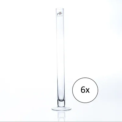 Produktbild von 6er Set Reagenzglasvasen SOLIFLEUR mit Fuss H. 40cm D. 3cm rund klar Sandra Rich