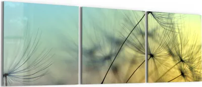 Produktbild von DEQORI Glasbild Echtglas 3x50x50 cm 'Schirmchen in Abendsonne' Wandbilder XXL groß