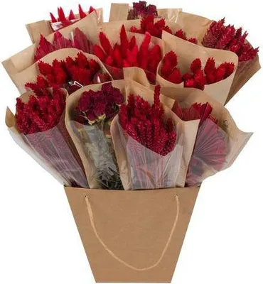 Produktbild von Getrocknete Blumen – Strauß Mono Mix Rot – Handgebunden – ca. 50cm – Nachhaltige Trockenblumen Deko für Vase, Tisch & Geschenk