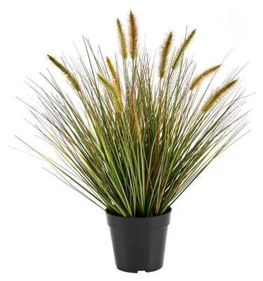 Produktbild von aplanta Künstliches Japanisches Lampenputzergras – Yuki | 58 cm, für drinnen, Kunstpflanze, wie echt, Allergiker geeignet, pflanzliche Dekoration Praxis, Office & Wohnzimmer