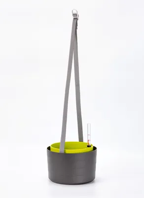 Immagine prodotto di Berberis vaso sospeso 26 cm - grigio verde