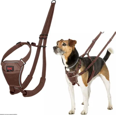 Produktbild von Halti Erziehungsgeschirr No Pull Harness Deep Walnut, Größe: S