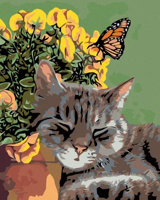 Produktbild von Diamondi - Diamond painting - RUHENDER KATER UND SCHMETTERLING IN BLUMEN, 40X50 cm, mit Keilrahmen (bereits gespannt)