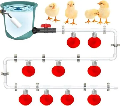 Produktbild von Tierspender für Hühner - Hühnertränke - Tierservice