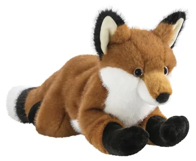 Image de 61604 Renard Volant Borealis (1)