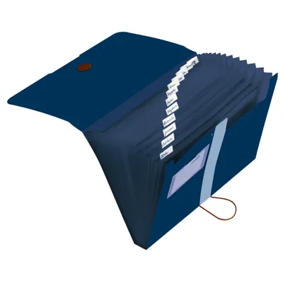 Immagine prodotto di Herlitz Fächermappe 11411261 12Fächer Recycling PP dunkelblau