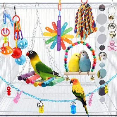 Immagine prodotto di Giocattoli in legno per uccelli, set da 9 pezzi: giochi da masticare, posatoi, piattaforme, altalene e scalette per pappagalli