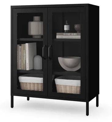 Vitrinekast 80x101,5x40 cm, Schwarz, 2 verstellbare Böden, Metall