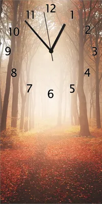 Produktbild von Wallario Design Wanduhr bedruckt, Größe 30 x 60 cm, Motiv: Herbstwald - Weg zu einer Lichtung im Wald