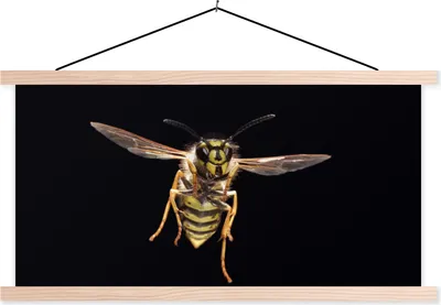 Produktbild von MuchoWow® Textilposter Wespe - Insekten - Porträt 120x60 cm mit holzfarbenen Rahmen - Klemmleiste