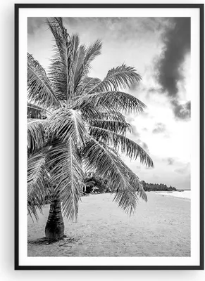 Produktbild von Gerahmtes Poster - Schwarzer Rahmen - Monochrom Strand Wolken - 70x100 cm - Wand Bild - Wanddeko - Wandbilder - Kunstposter - Wandposter - Bilderrahmen - Bilder - Kunstdruck - P2BPA70x100-4677