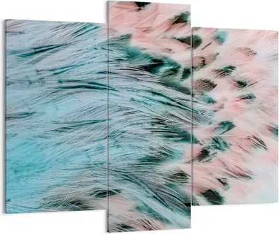 Produktbild von Bild auf Leinwand - Leinwandbild - Federn Federn Vogel - 130x100cm - Wand Bild - Wanddeko - Leinwanddruck - Bilder - Kunstdruck - Wanddekoration - Leinwand bilder - Wandkunst - CB130x100-3742