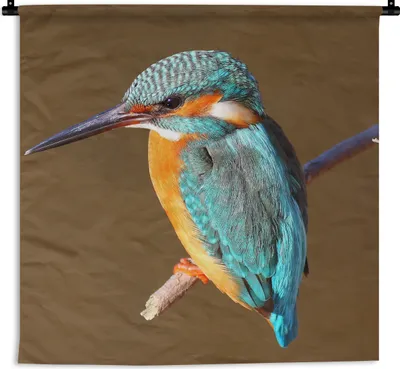 Produktbild von MuchoWow® Wandteppich Wandbehang Eisvogel - Äste - Bunt 150x150 cm Tapisserie Dekoration Wandtuch - Wohnaccessoires - Modernes