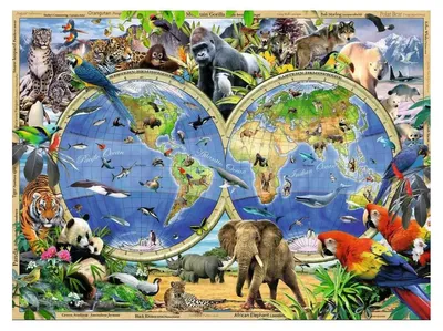 Produktbild von Ravensburger World Of Wildlife (300 Pieces), 300 Stück(e), 9 Jahr(e)