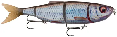 Obrázek produktu pro Savage Gear 4 Play V2 Swim & Jerk 16,5cm SS Roach Swimbait Jerkbait