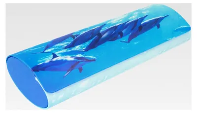 Produktbild von Robustes Hartschalen-Brillenetui mit Magnetverschluss und sommerlichem Delfin-Motiv