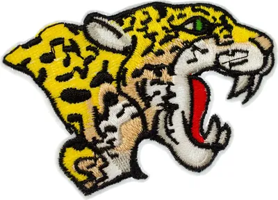 Produktbild von Leopard Leopardenkopf Bügelbild Aufnäher Aufbügler Miniblings Raubtier 80x55mm