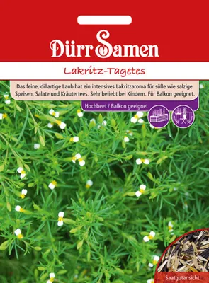 Produktbild von Dürr-Samen - Lakritz-Tagetes - Saatgut - 4362
