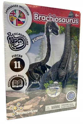 Obrázek produktu pro Science4you Vykopávková sada Brachiosaurus 800004130 dinosaurus