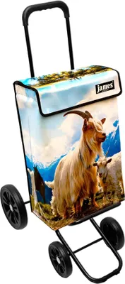 Produktbild von James Einkaufstrolley - MECKER - stabiler Einkaufswagen mit individuellem Design - mehrfarbig: beige | blau in Ausführung: Quattro-4Raeder