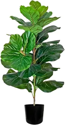 Obrázek produktu pro Kunstboom – Ficus Nepplant – Dekorace pro interiér i exteriér – Bezúdržbový – Výška 105 cm – Zelený