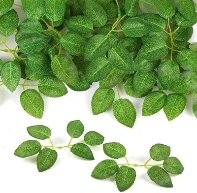Image de Feuilles décoratives, 60 pièces, vert