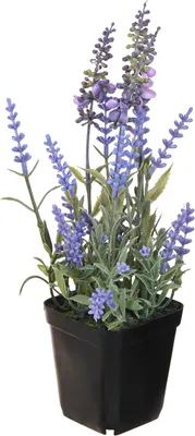 Produktbild von Künstlicher Lavendel 25cm Topf Deko Kunstpflanze Blühend